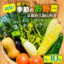 【ふるさと納税】【訳アリ】 季節の野菜 詰め合わせ 6~10種 京都【1568064】