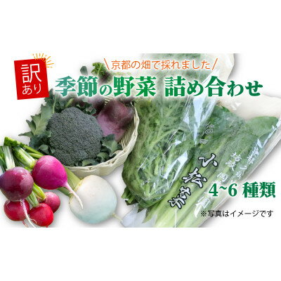 【ふるさと納税】【訳あり】季節の野菜セット4~6品 京都府久御山町産【配送不可地域:離島】【1615125】 【ふるさと納税】【訳あり】季節の野菜セット4~6品 京都府久御山町産【配送不可地域:離島】【1615125】