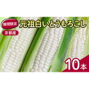 【ふるさと納税】先行予約 京都府 元祖 白い とうもろこし ホワイトコーン 10本【配送不可地域:離島】【1617332】