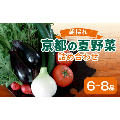 【ふるさと納税】夏野菜 6~8種 セット 京都府久御山町【配送不可地域:離島】【1623427】 【ふるさと納税】夏野菜 6~8種 セット 京都府久御山町【配送不可地域:離島】【1623427】