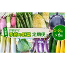 【ふるさと納税】【毎月定期便】季節のおまかせ野菜セット 4~8種詰め合わせ 計2kg~3kg全6回【4069424】