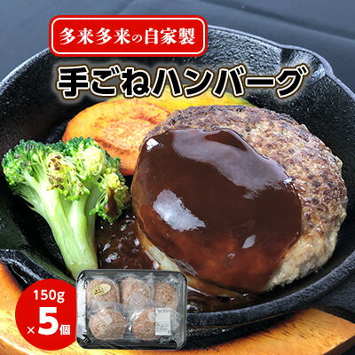 多来多来の自家製手ごねハンバーグ(150g×5個)【配送不可地域：離島】【1258378】