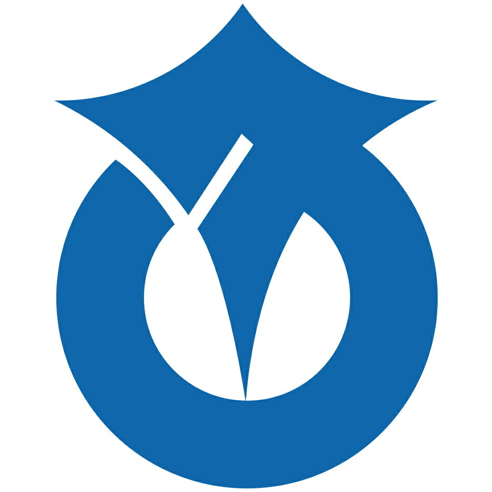 Shop icon