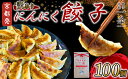 【ふるさと納税】訳あり にんにく餃子 100個 冷凍 ぎょうざ ギョウザ ギョーザ 豚肉 便利 簡単調理 惣菜 絶品 おかず お子様 家族 豚肉餃子 こだわり餃...