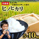 【ふるさと納税】 【先行受付】ヒノヒカリ 令和7年産 選べる 5kg 10kg 精米 白米 お米 米 こめ ご飯 おにぎり 弁当 産地直送 国産 京都産 井手町