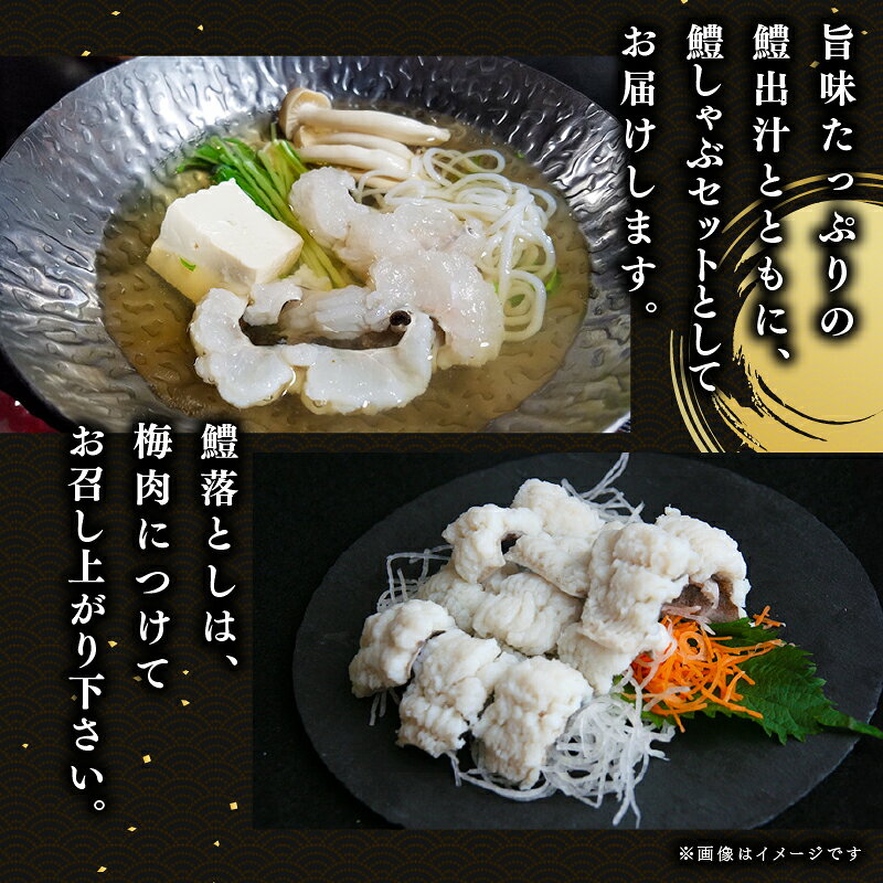 【ふるさと納税】 はもしゃぶ＆はも落とし セット 2～3人前 鱧出汁 梅肉 付き 京料理 鱧 はも はも鍋 鱧落とし 鱧湯引き 湯引き しゃぶしゃぶ 鍋 セット 鍋セット 鱧しゃぶしゃぶ 刺し身 海鮮 海鮮鍋 京都 井手町 f263435-ide-10000138 京都府井手町 サンプル画像3