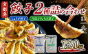 【ふるさと納税】選べる 餃子2種詰め合わせセット しょうが餃子 & 丹波とりしそ京餃子 120個 冷凍 ぎょうざ ギョウザ ギョーザ しょうが 生姜 豚肉 簡単...