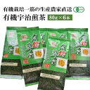 有機宇治煎茶6本入　