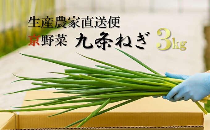 【ふるさと納税】生産農家直送　京野菜・九条ねぎ　約3kg　【野菜 ねぎ 京野菜 九条ねぎ ネギ】