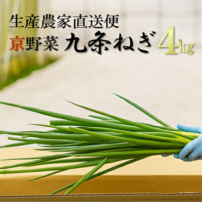 【ふるさと納税】生産農家直送 京野菜・九条ねぎ4kg〈ねぎ ネギ 葱 九条ねぎ 京野菜 京都 新鮮 甘い 農家直送 野菜〉 【ふるさと納税】生産農家直送 京野菜・九条ねぎ4kg〈ねぎ ネギ 葱 九条ねぎ 京野菜 京都 新鮮 甘い 農家直送 野菜〉