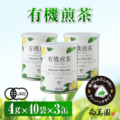 宇治・有機煎茶ティーバッグ 4g×40個×3缶 [お茶 緑茶 有機煎茶ティーバッグ ティーバッグ 煎茶]