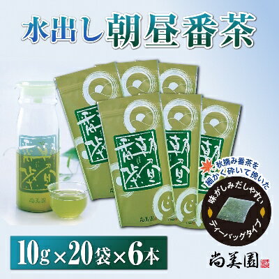 【ふるさと納税】宇治・水出し朝昼番茶ティーバッグ 10g×20袋入×6本　クールサーバー付　〈お茶 茶 煎茶 緑茶 番茶 秋摘み カテキン ポリサッカライド 水出し ティーバッグ セット クールサーバー 飲料 健康 加工食品〉　クールサーバー付　【宇治田原町】