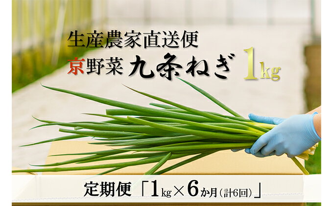 【ふるさと納税】【6か月定期便】生産農家直送　京野菜・九条ねぎ 1kg×6回　【定期便・野菜 ねぎ 京野菜 九条ねぎ 6ヶ月 6回 半年】