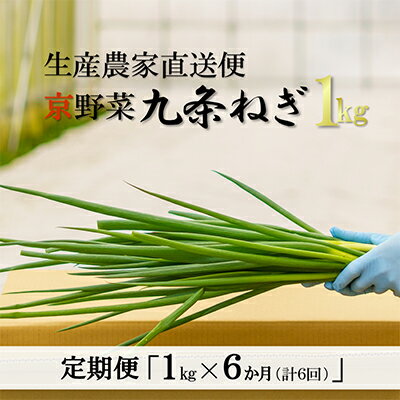 【ふるさと納税】【6か月定期便】生産農家直送 京野菜・九条ねぎ1kg〈定期便 ねぎ ネギ 葱 九条ねぎ 京野菜 京都 新鮮 甘い 農家直送 野菜〉 6ヶ月 6回 半年 【ふるさと納税】【6か月定期便】生産農家直送 京野菜・九条ねぎ1kg〈定期便 ねぎ ネギ 葱 九条ねぎ 京野菜 京都 新鮮 甘い 農家直送 野菜〉 6ヶ月 6回 半年