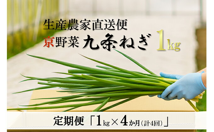 【ふるさと納税】【4か月定期便】生産農家直送　京野菜・九条ねぎ 1kg×4回　【定期便・野菜 ねぎ 京野菜 九条ねぎ 4ヶ月 4回】