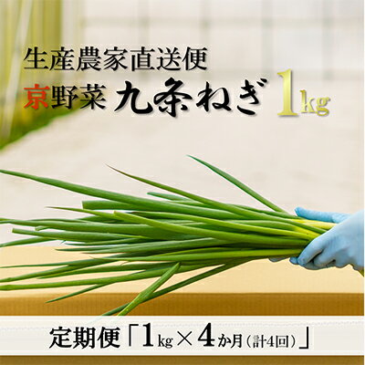 【ふるさと納税】【4か月定期便】生産農家直送 京野菜・九条ねぎ1kg〈定期便 ねぎ ネギ 葱 九条ねぎ 京..