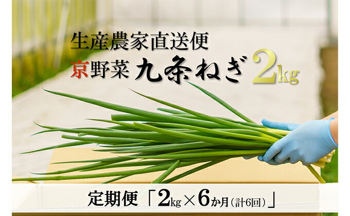 【ふるさと納税】【6か月定期便】生産農家直送　京野菜・九条ねぎ　2kg×6回　【定期便・野菜 ねぎ 京野菜 九条ねぎ 6ヶ月 6回 半年】