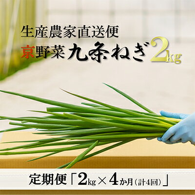 【ふるさと納税】【4か月定期便】生産農家直送 京野菜・九条ねぎ2kg〈定期便 ねぎ ネギ 葱 九条ねぎ 京野菜 京都 新鮮 甘い 農家直送 野菜〉 4ヶ月 4回