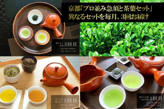 【ふるさと納税】京都「プロ並み急須と茶葉セット」　初級者向け（熱め～湯さまし）全3回×3ヵ月コース〈定期便 お茶 茶 煎茶 緑茶 茶葉 雁が音 茎茶 焙じ ほうじ茶 急須 陶器 工芸品 セット〉　【定期便・飲料類・お茶・加工食品・急須・茶葉】 2