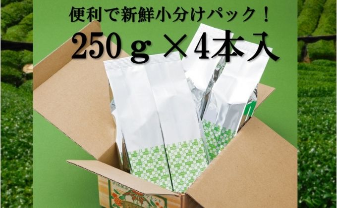 【ふるさと納税】宇治抹茶入深蒸し煎茶1kg3ヵ月毎3回コース(250g×4袋×3回)〈定期便 煎茶 お茶 茶 緑茶 深むし 深蒸し茶 茶葉 宇治抹茶 抹茶 飲料 ブレンド 加工食品〉 飲料類 宇治抹茶入り