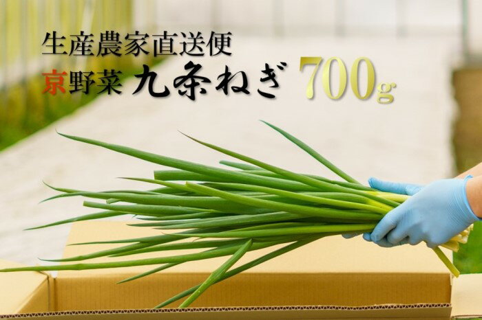 【ふるさと納税】生産農家直送　京野菜・九条ねぎ 700g　【 野菜 ネギ 葱 京都府産 薬味 料理 食材 】