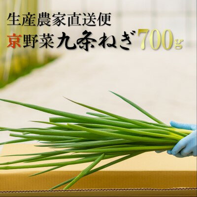 【ふるさと納税】生産農家直送 京野菜・九条ねぎ700g〈ねぎ ネギ 葱 九条ねぎ 京野菜 京都 新鮮 甘い 農家直送 野菜〉　【 野菜 ネギ 葱 京都府産 薬味 料理 食材 】