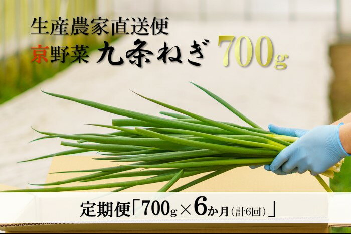 【ふるさと納税】【6か月定期便】生産農家直送　京野菜・九条ねぎ 700g×6回　【定期便・ 野菜 ネギ 葱 京都府産 薬味 料理 食材 半年 】