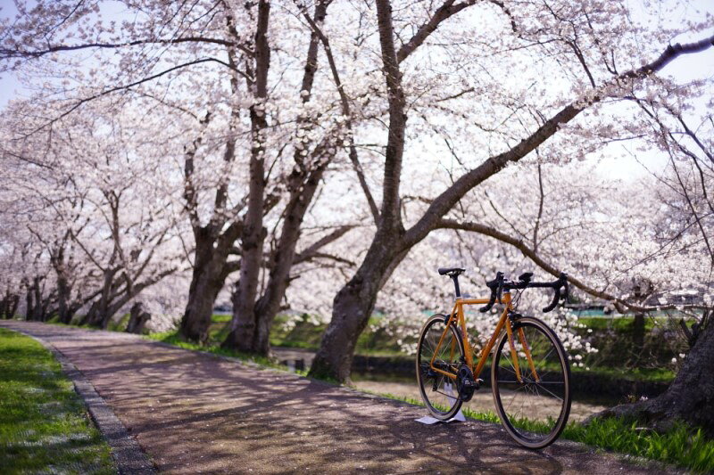 【ふるさと納税】和尚のガイドで巡る自転車ツアー「ディープな京都・宇治田原」2名様分【緑茶発祥の地／kyoto♥のまち】 体験チケット 旅行 観光 サイクリング アクティビティ ビュースポット グルメスポット f263443-ujitawara-10000395 京都府宇治田原町 サンプル画像3