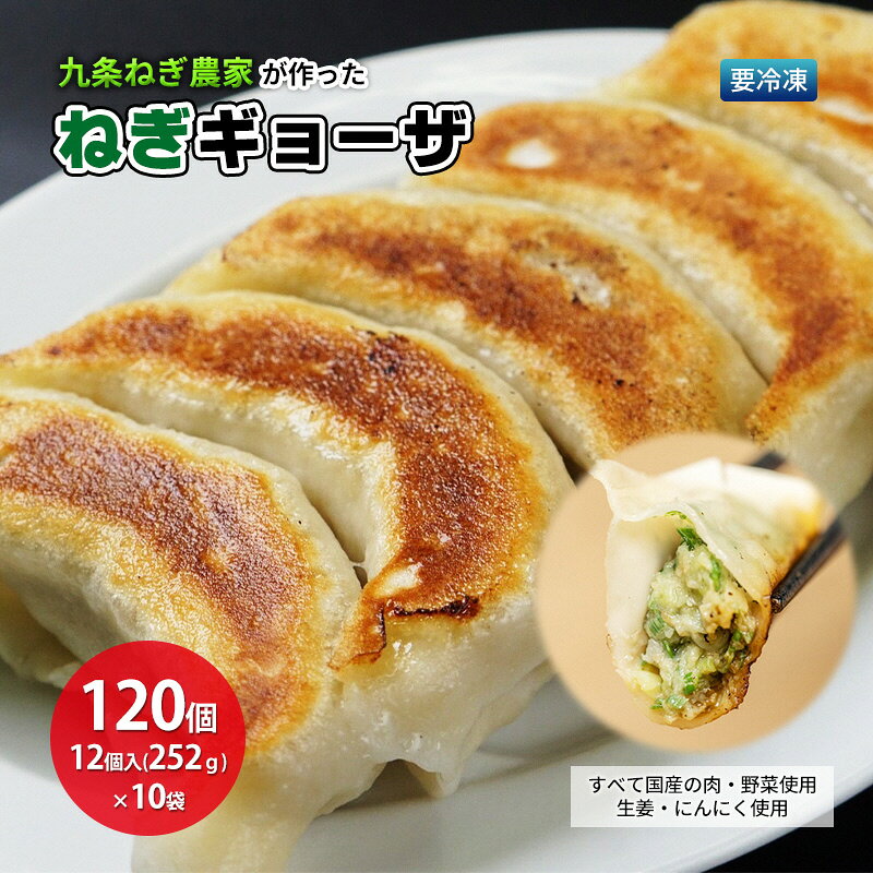 九条ねぎ農家が作ったねぎギョーザ（12個入×10袋）ぎょうざ 餃子 ギョーザ 九条ねぎ 京野菜 冷凍 冷凍餃子 惣菜 国産豚肉 ジューシー おかず つまみ 酒の肴 夕飯 晩御飯 手軽 便利