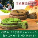 【ふるさと納税】和束産栽培茶の抹茶&ほうじ茶ガトーショコラ食べ比べセット【配送不可地域:離島】【1295680】