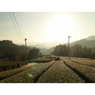 京都府和束町の画像2