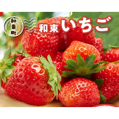 和束いちごパック 200g×4パック+農家のいちごジャム×1個【配送不可地域：離島・北海道・沖縄県・東北・九州】【1486577】