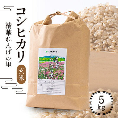 8位! 口コミ数「0件」評価「0」コシヒカリ「精華れんげの里」玄米5キロ【1209252】