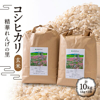 15位! 口コミ数「0件」評価「0」コシヒカリ「精華れんげの里」玄米10キロ【1209254】