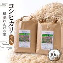 コシヒカリ「精華れんげの里」玄米10キロ