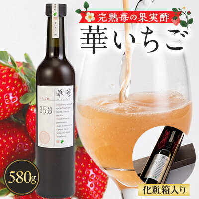 完熟苺の果実酢　華いちご　580g瓶　化粧箱入り【1325778】