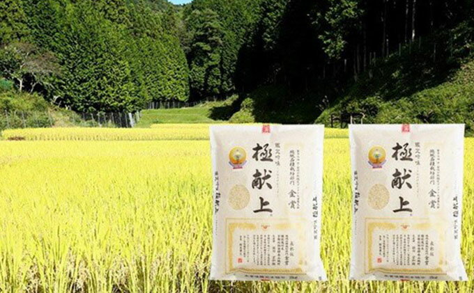 【ふるさと納税】【絶品】全国で認められたうまさ！植田さんの受賞米食べ比べ2品種×2kg　【お米 京都 国産 金賞 】