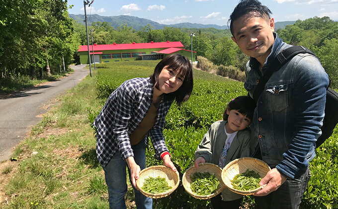 【ふるさと納税】【体験期間：6月末まで】茶摘み+製茶体験1名（大人料金）※中学生以上　【体験チケット・茶摘み体験・製茶体験】　お届け：11月からのお申込みより順次発送いたします。