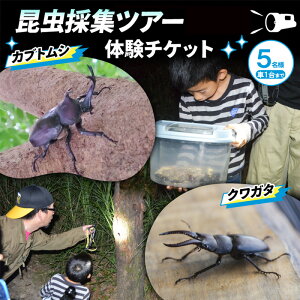 【ふるさと納税】NHKテレビで取り上げられました!先行予約【体験期間 2026年6月~8月中旬】虫捕り名人と行く「昆虫採集ツアー」ご利用券(5名様・車1台まで)他グループと同行有 昆虫 カブトムシ クワガタ 夏休み 親子 京都 南山城村 お届け:2025年9月中旬~2026年4月下旬