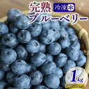 名称ブルーベリー内容量容量 ：冷凍1kg(500g×2パックでお届けします。)原材料ブルーベリー産地京都府南山城村産賞味期限冷蔵365日保存方法冷凍10℃以下製造者うえだブルーベリー畑京都府相楽郡南山城村野殿日川谷29事業者うえだブルーベリー畑配送方法冷凍配送お届け時期2024年8月中旬～10月中旬まで備考※画像はイメージです。 ※離島へのお届けはできません。 ・ふるさと納税よくある質問はこちら ・寄附申込みのキャンセル、返礼品の変更・返品はできません。あらかじめご了承ください。【ふるさと納税】先行予約【8月中旬から随時配送】うえだブルーベリー畑の手摘みブルーベリー【1kg】　【 果物 フルーツ 冷凍フルーツ 冷凍ブルーベリー 国産ブルーベリー 】　お届け：2024年8月中旬～10月中旬まで 南山城村の標高500mの山の上で大切に育てられたブルーベリーです。 栽培期間中農薬不使用にて土にこだわり栽培しているため、安心安全にお召し上がり頂けます。 南山城村在住ブルーベリー農家の植田さんが一粒ずつ丁寧に摘み取ったブルーベリー1kg詰め合わせを冷凍の状態でお届けします。 ジャムやソース作りなど加工用としても人気の逸品で、リピーターも続出中です！ ぜひ一度お召し上がりください。 寄附金の用途について 次世代につなげるむらづくりのため 村の要である農林業振興のため 安心できる子育て環境づくりのため 未来ある子ども達の教育充実のため 村の魅力を伝える観光振興のため 受領証明書及びワンストップ特例申請書のお届けについて 【受領証明書】 受領証明書は、ご入金確認後、注文内容確認画面の【注文者情報】に記載の住所にお送りいたします。 発送の時期は、寄附確認後1～2週間程度を目途に、お礼の品とは別にお送りいたします。 【ワンストップ特例申請書について】 ワンストップ特例をご利用される場合、1月10日までに申請書が当庁まで届くように発送ください。 マイナンバーに関する添付書類に漏れのないようご注意ください。 申請書のダウンロードはこちら