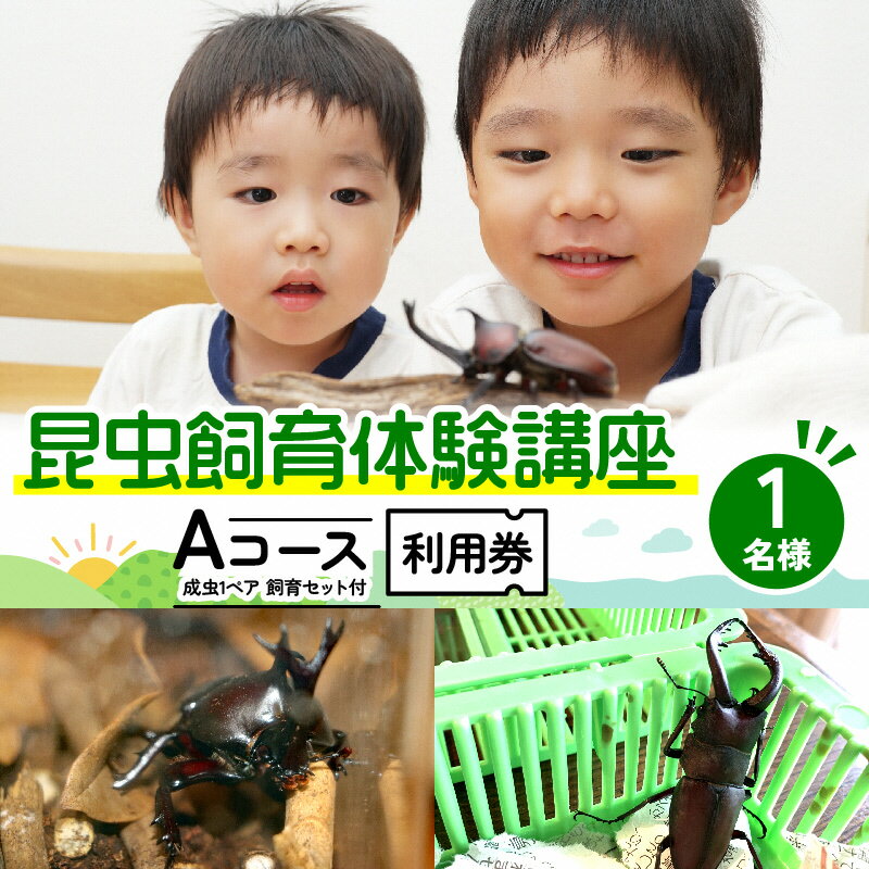 [幼児〜小学生対象]昆虫飼育体験講座Aコース(昆虫成虫1ペアと飼育セット付き[体験:7月〜9月の各日曜日])ご利用券(1名様) [ 体験チケット 生き物 子供 キッズ ] お届け:2024年5月下旬〜2024年6月下旬まで