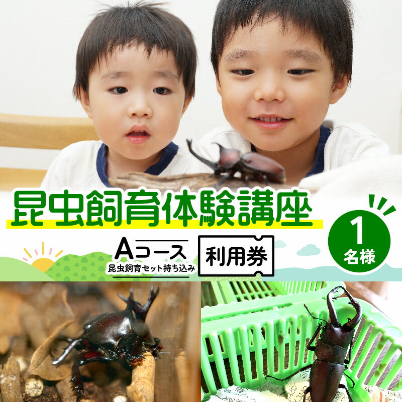 楽天京都府南山城村【ふるさと納税】【幼児～小学生対象】昆虫飼育体験講座Aコース（昆虫・飼育セット各自お持ち込み＜体験：7月～9月の各日曜日＞）ご利用券（1名様）　【 体験チケット 生き物 子供 キッズ 】　お届け：2024年5月下旬～2024年6月下旬まで