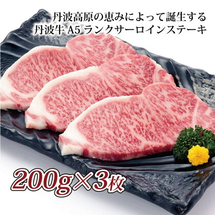 丹波牛 A5 ランク サーロインステーキ 【 国産 和牛 牛肉 丹波牛 ステーキ サーロイン 牛 赤身 京都 いづつ屋 】