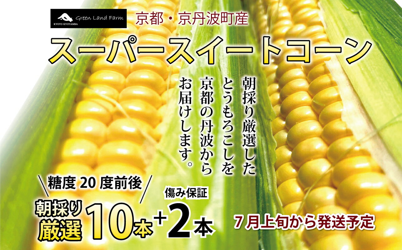 商品説明 名称 とうもろこし 産地名 京都府京丹波町 内容量 スーパースイートコーン　10本+傷み保証2本 賞味期限 商品お届け後要冷蔵で3日程度 保存方法 冷蔵庫（10℃以下）で保管してください。 ※生ものですので、お早めにお召し上がり ください。（時間の経過とともに糖度が 低下しますのでご注意ください。） 提供元 事業者 芋屋　京丹波博蔵　自然農園 （京都府船井郡京丹波町院内市庭25）） 備考 冷蔵便でお届けします。 ※北海道・東北・沖縄・その他離島は 配送不可となります。 ・ふるさと納税よくある質問はこちら ・寄付申込みのキャンセル、返礼品の変更・返品はできません。あらかじめご了承ください。