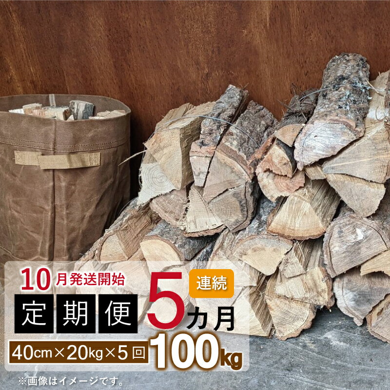 7位! 口コミ数「0件」評価「0」【定期便】京丹波町産 広葉樹 薪 40cm 20kg×5カ月連続 総量100kg【 薪ストーブ キャンプ ソロキャンプ ストーブ 焚き火 焚･･･ 