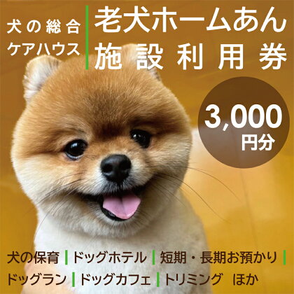 老犬ホーム あん施設利用券（3,000円分） 犬専用総合ケアハウス 愛犬愛護活動