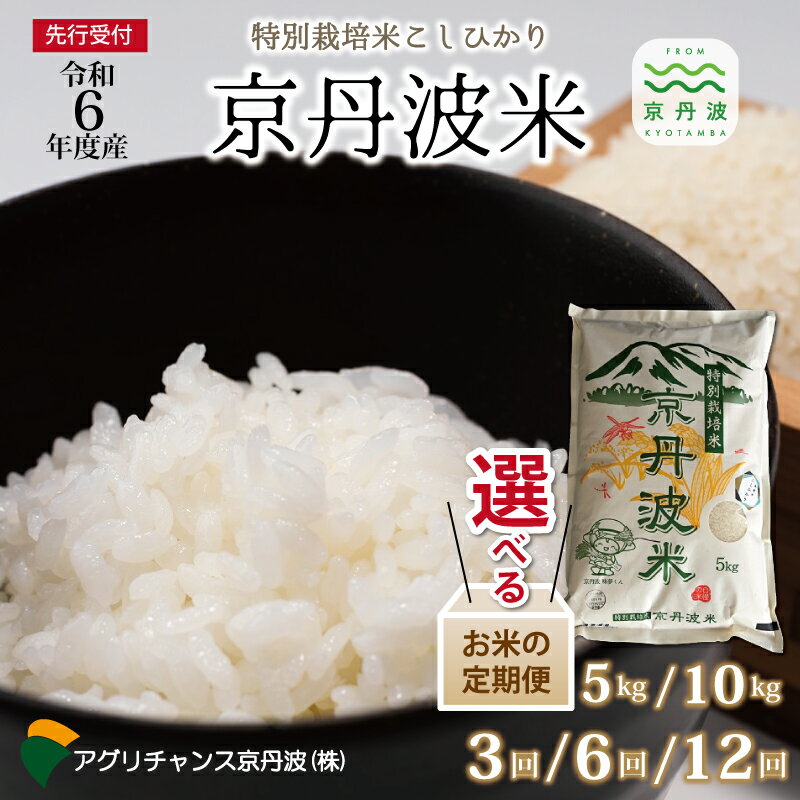 [定期便] [ 新米先行予約 ] こしひかり 京丹波町産 5kg 10kg 3カ月 6カ月 12カ月 選べる定期便 令和6年産米 精米 お米 京都 丹波 特別栽培米 コシヒカリ 特A獲得 農家直送 ※北海道・東北・沖縄・その他離島は配送不可