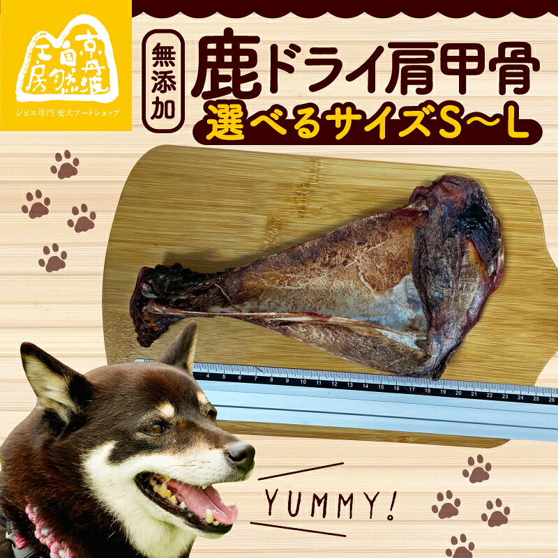 鹿ドライ肩甲骨 1本 選べるサイズ ペット用品 ペットグッズ ペットフード ドッグフード 無添加 肩甲骨 ボーン 歯 健康 国産 ストレス解消 ジビエ 鹿 鹿肉 わんちゃん ペット用品 犬用 ご褒美 おやつ 超小型犬 大型犬 中型犬 犬 イヌ いぬ 京都府 京丹波町