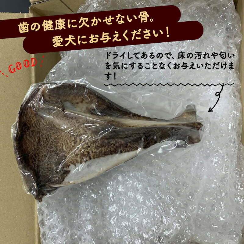 【ふるさと納税】 鹿ドライ肩甲骨 1本 選べるサイズ ペット用品 ペットグッズ ペットフード ドッグフード 無添加 肩甲骨 ボーン 歯 健康 国産 ストレス解消 ジビエ 鹿 鹿肉 わんちゃん ペット用品 犬用 ご褒美 おやつ 超小型犬 大型犬 中型犬 犬 イヌ いぬ 京都府 京丹波町 f264075-kyotamba-10000809 京都府京丹波町 サンプル画像2
