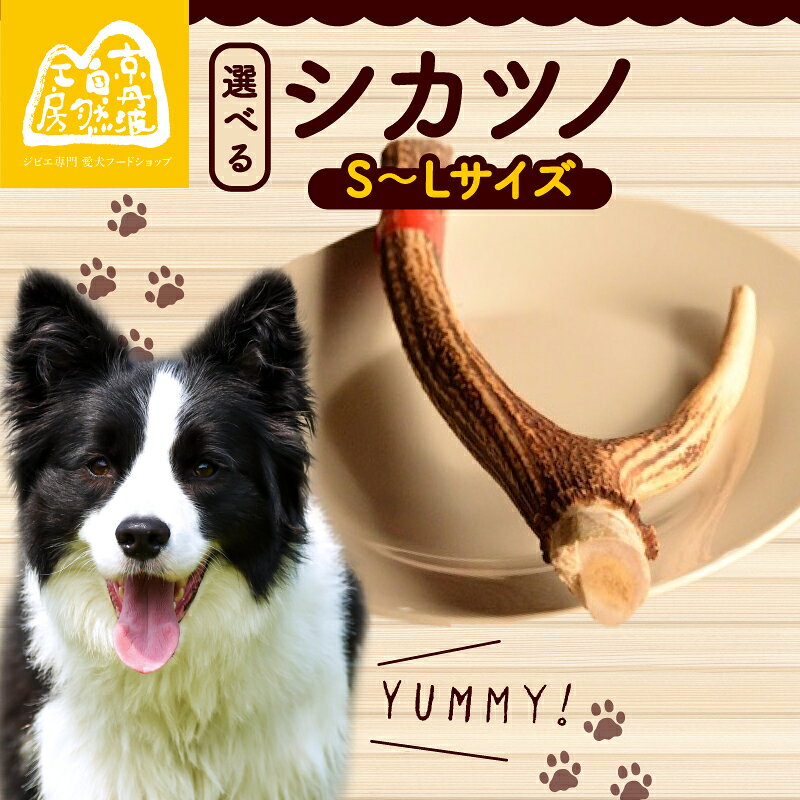 シカツノ 1本 選べる サイズ 鹿の角 鹿角 おもちゃ ペット おすすめ 国産 いぬ イヌ 犬 わんちゃん ワンちゃん 愛犬 犬のおもちゃ 犬用おもちゃ イヌのおもちゃ ペット用品 デンタルケア しつけ いたずら 安心 天然素材 京都 京丹波町